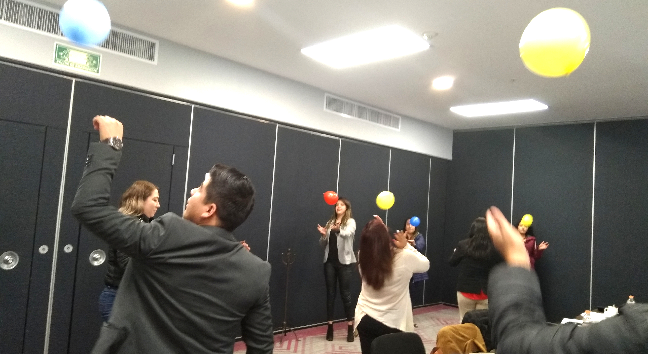 Capacitta Galer&iacute;a 3